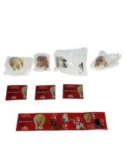 伊藤若冲の動物プラスワン! 欠品有