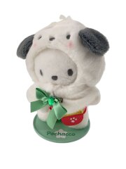 ぬいぐるみ ぽちゃこ ぬいコス＋ドールセット