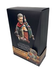 [1/6] コブ・ヴァンス [TMS084]限定生産