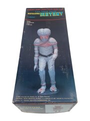 メタルナミュータント 宇宙水爆戦 スケールフィギュアキット