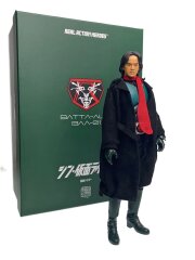 RAH 仮面ライダー(シン・仮面ライダー) [No.789]