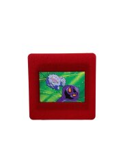 ポケモンピクチャーフレーム アーボック&マタドガス 赤フレーム ゲーム系トイ