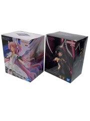 BANPRESTO EVOLVE アルティメットまどか 悪魔ほむら 2点set